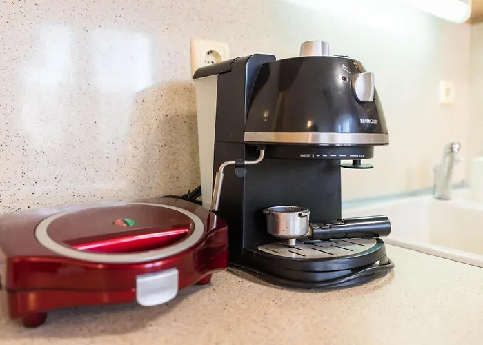 Edelweiss With Free Garage Apartment